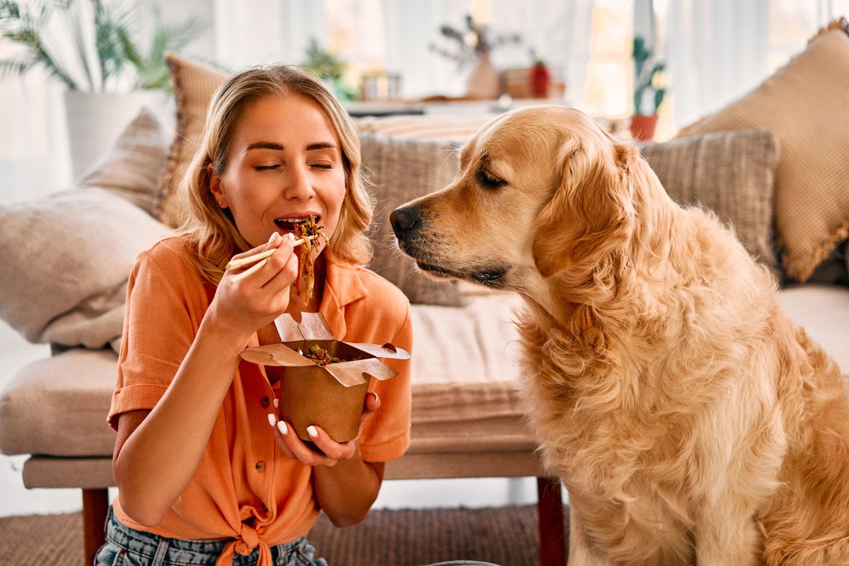 犬が自分のことを『人間』だと思ってしまうのはなぜ？リスクはあるの？愛犬が勘違いする理由まで