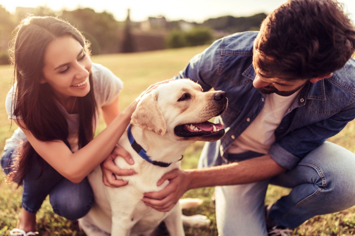 犬が大喜びする「言葉」３選！どんなワードに反応しやすいの？