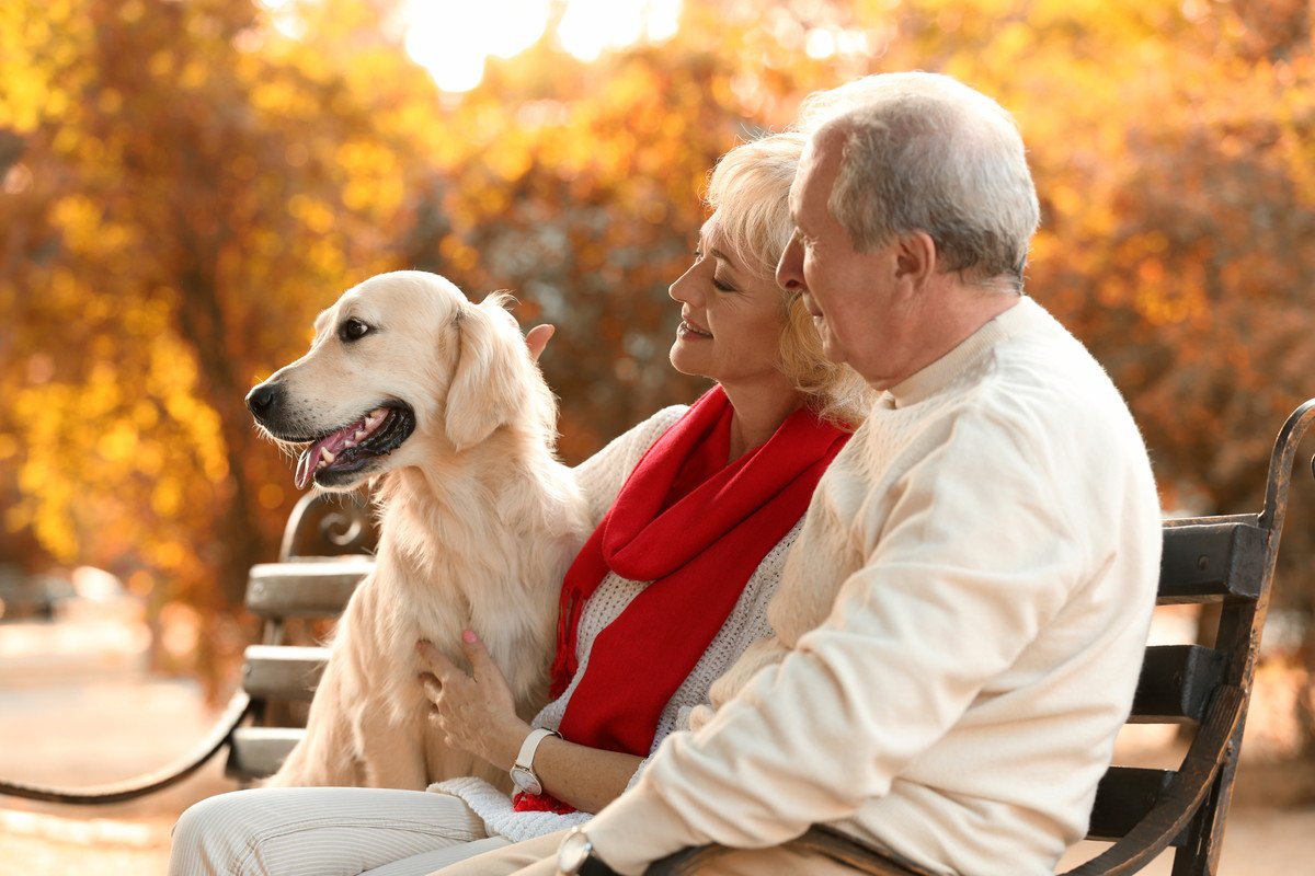 犬の飼い主が高齢になったら？備えておくべき4つのこと