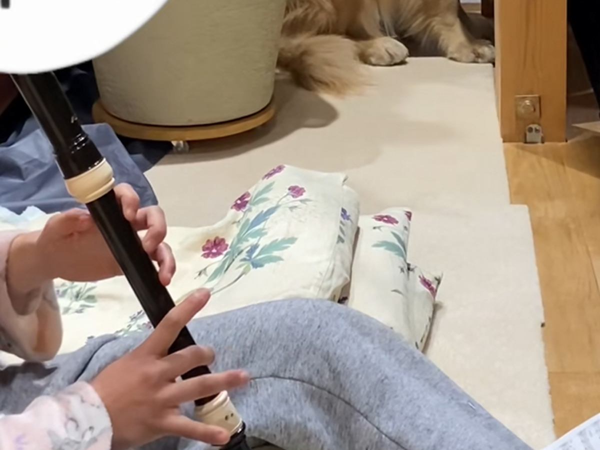 子どもが犬の前で『リコーダーの練習』をしていたら…あからさまな『表情』が面白すぎると16万再生「お目目シバシバ」「かわいいｗｗ」と爆笑