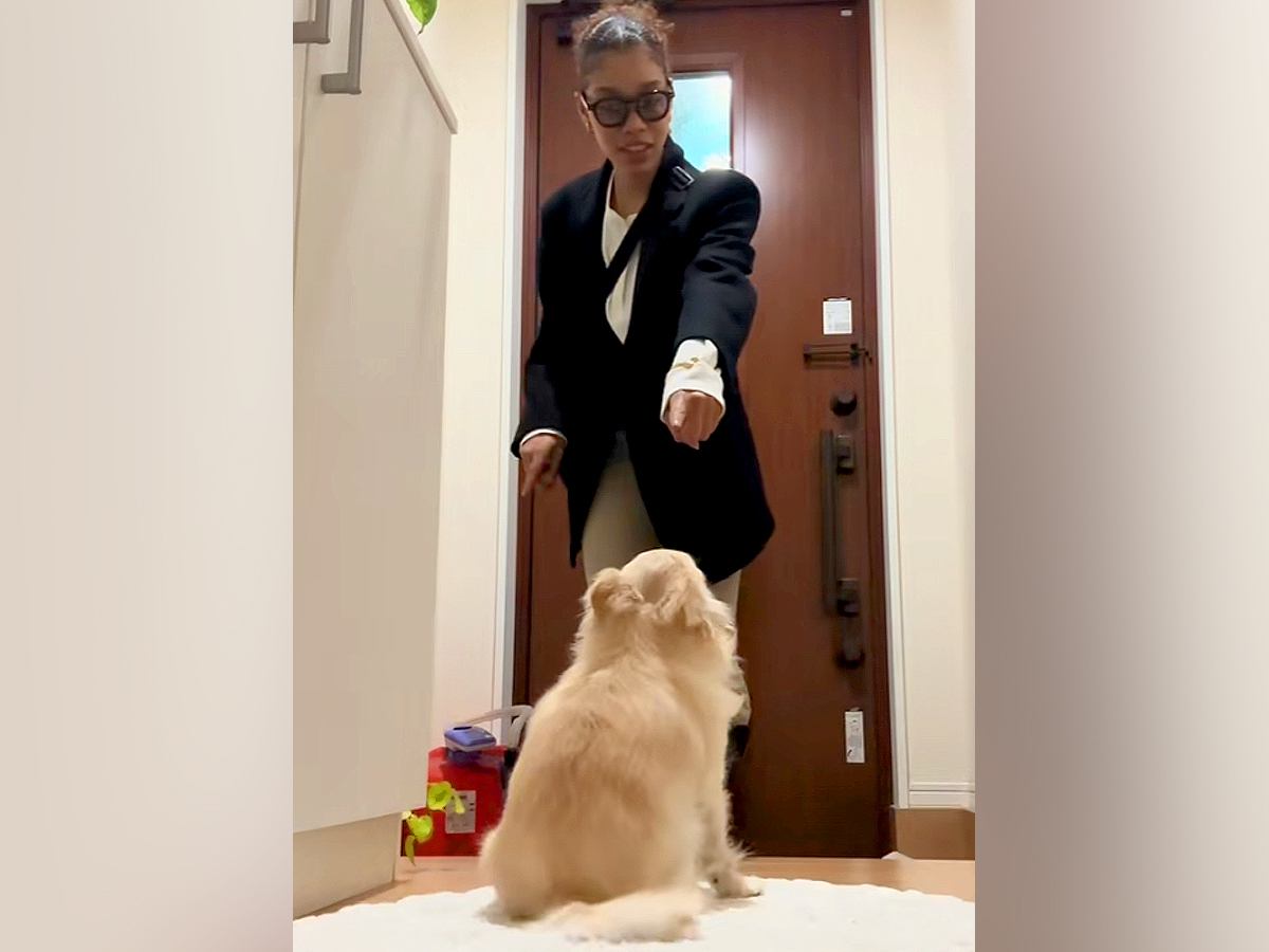 『散歩帰りの犬の足を拭きたい飼い主』VS『興奮中の犬』らちが明かない攻防戦が96万再生「だるまさんが転んだ状態で草」「煽ってるｗ」と爆笑