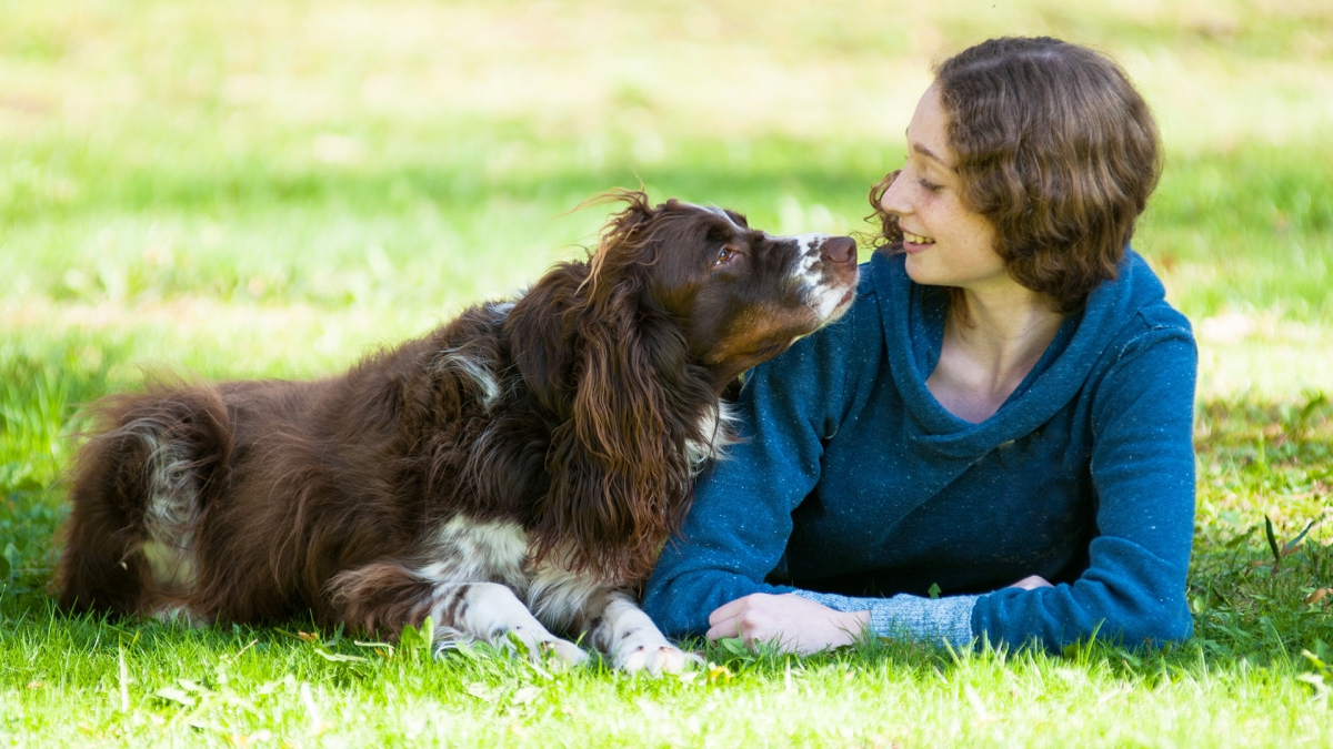 【時には地面、時にはあなた】犬が体をこすりつける３つの気持ち