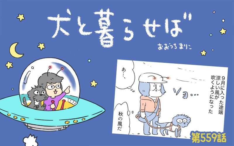 犬と暮らせば【第559話】「夏の終わり」