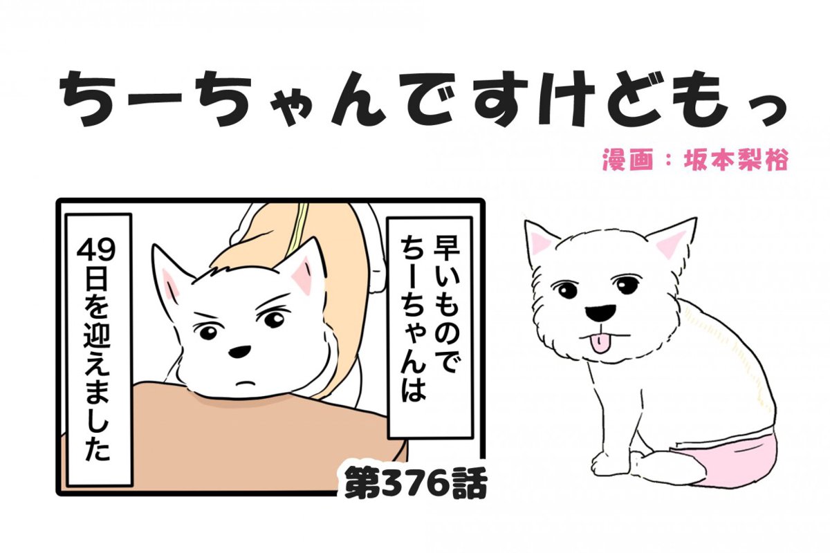 ちーちゃんですけどもっ【第376話】「49日をふり返って」