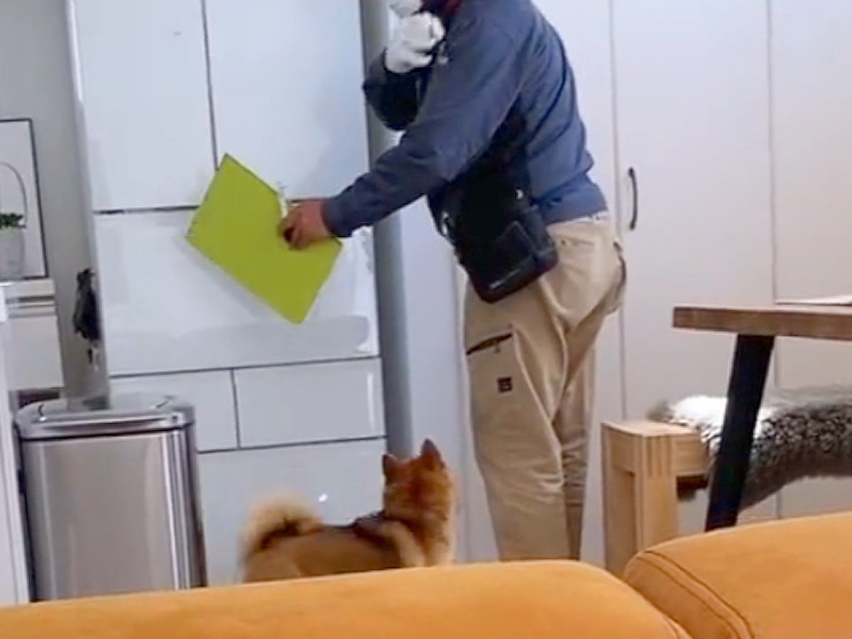 業者さんが家の点検に来たら、犬がついて行って…絶対仕事にならない『まさかの行動』が44万再生「私が毎日点検してますって言ってる」と反響