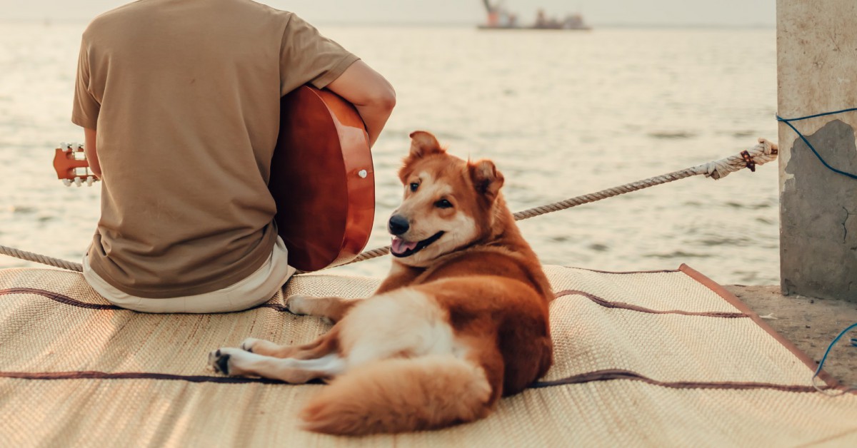 犬と一緒に音楽を楽しみたい飼い主さんが注意すべきこと4つ