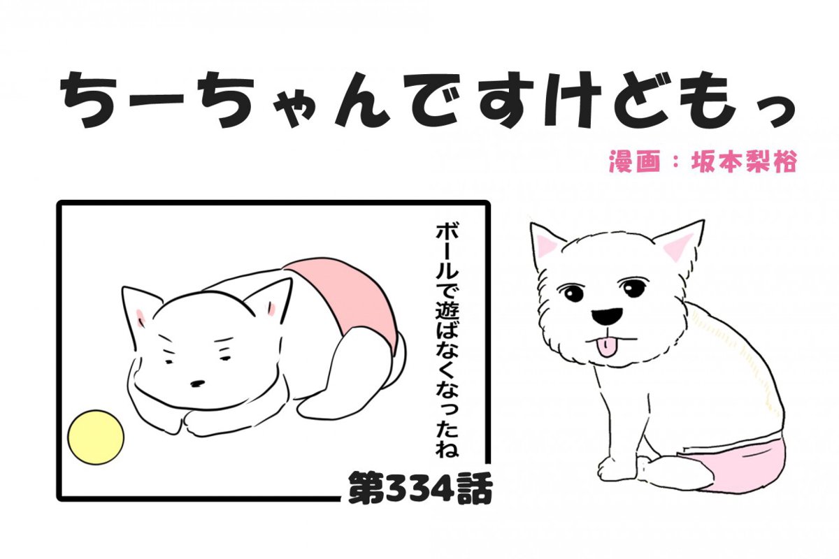 ちーちゃんですけどもっ【第334話】「君は君のままで素敵だよ」