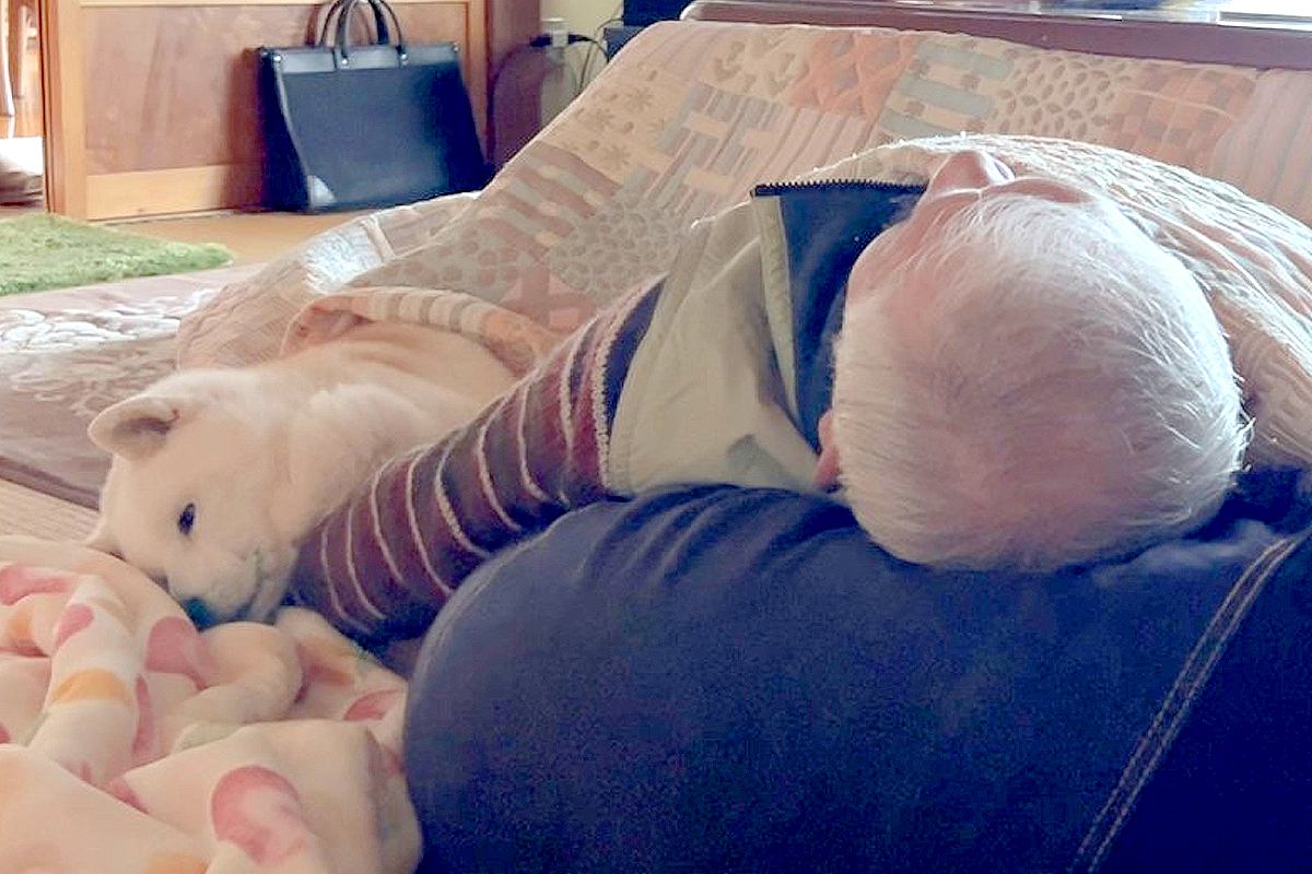 コタツの中『おじいちゃんの腕枕』でうとうとする老犬…尊すぎる『ふたりの時間』に反響「ジーンときた」「専用の特等席」「いつまでも元気で」