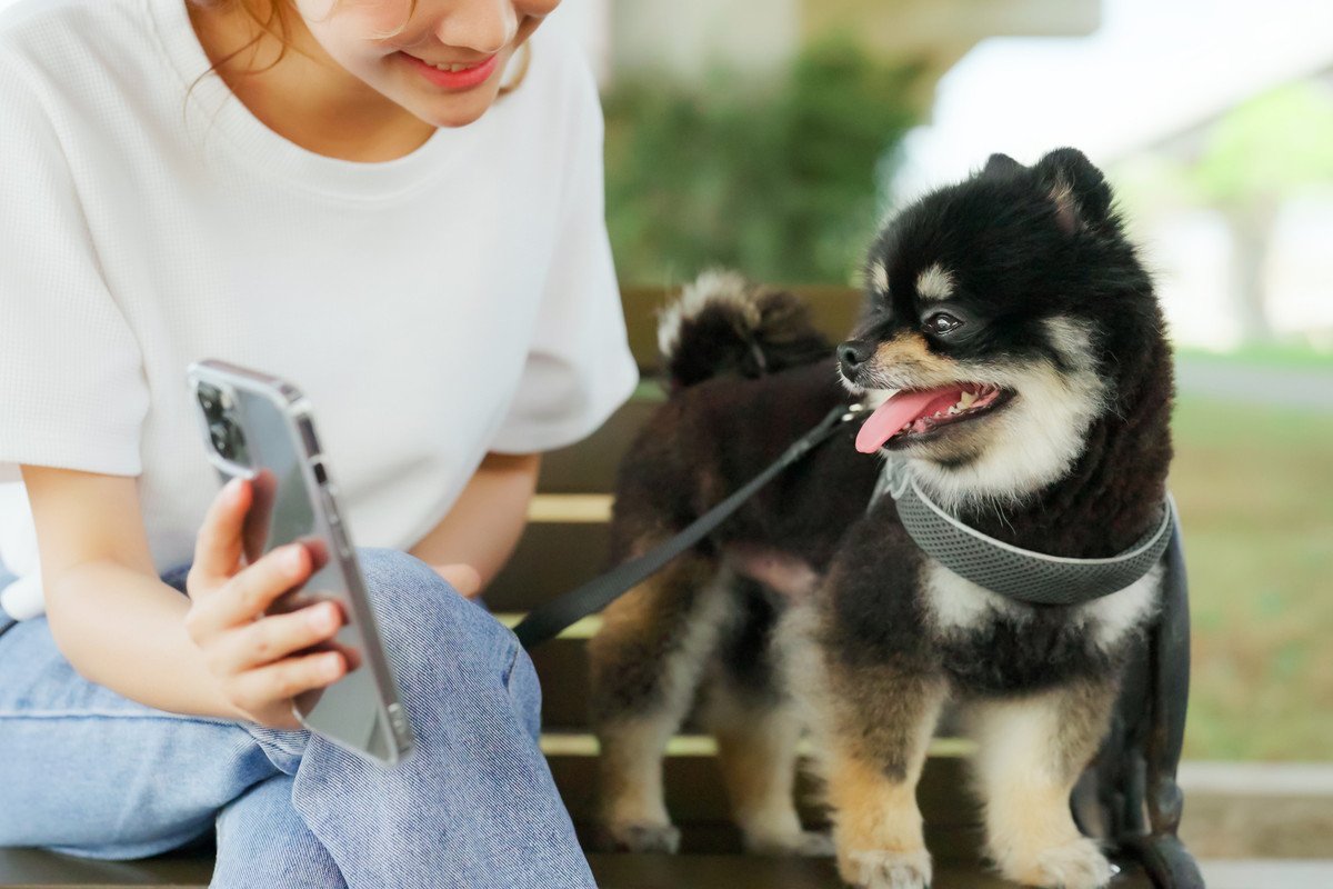 犬との生活から学ぶ『人生において大切な4つのこと』改めて、当たり前の幸せについて考えてみよう