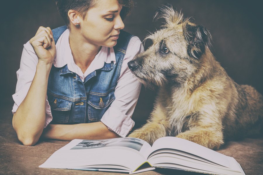 犬の本おすすめランキング！感動小説から飼い方本までご紹介