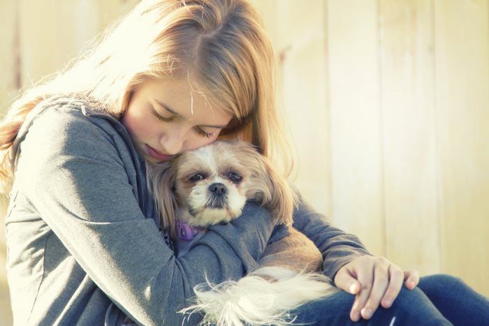 愛犬のテンションが低い時に絶対してはいけないNG行為３選