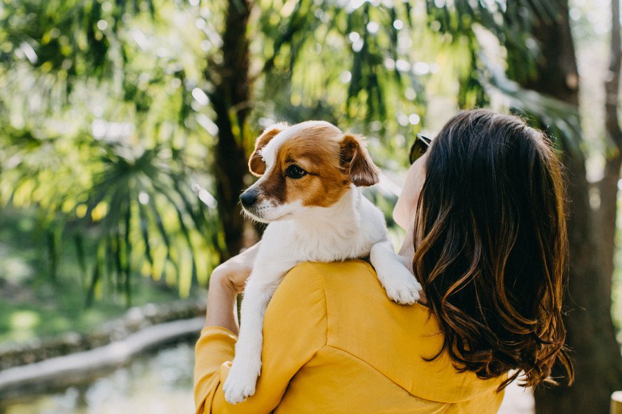 犬を抱っこしすぎると起こること３選