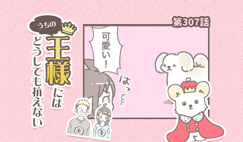 うちの王様にはどうしても抗えない【第307話】「全てが完璧」