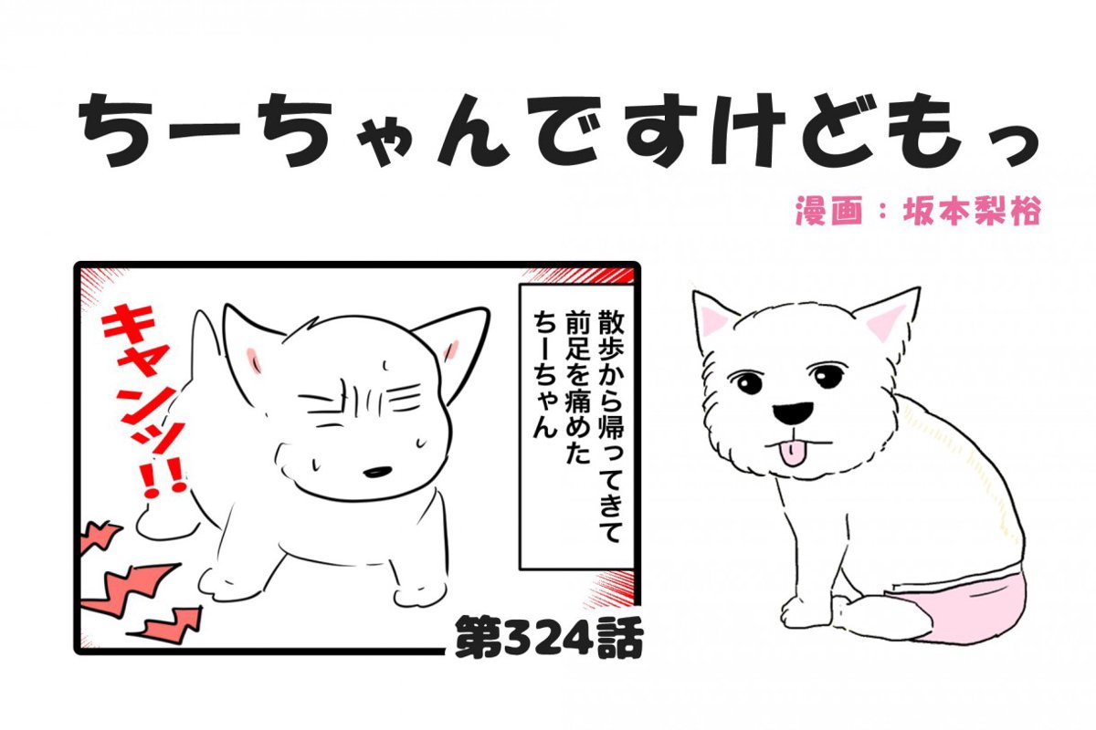 ちーちゃんですけどもっ【第324話】「またもや絶対安静のちーちゃん」