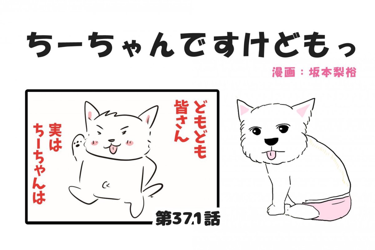 ちーちゃんですけどもっ【第371話】「皆さんへ」