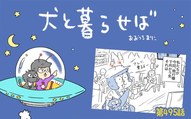 犬と暮らせば【第495話】「エマさん外国へ」
