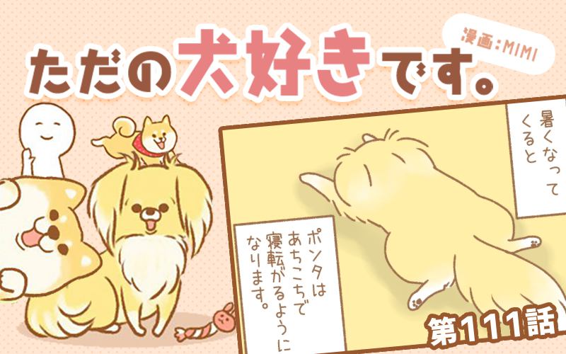 ただの犬好きです。【第111話】「お気に入りの場所」