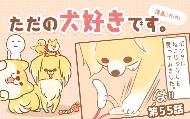 ただの犬好きです。【第55話】「ねこじゃらし」