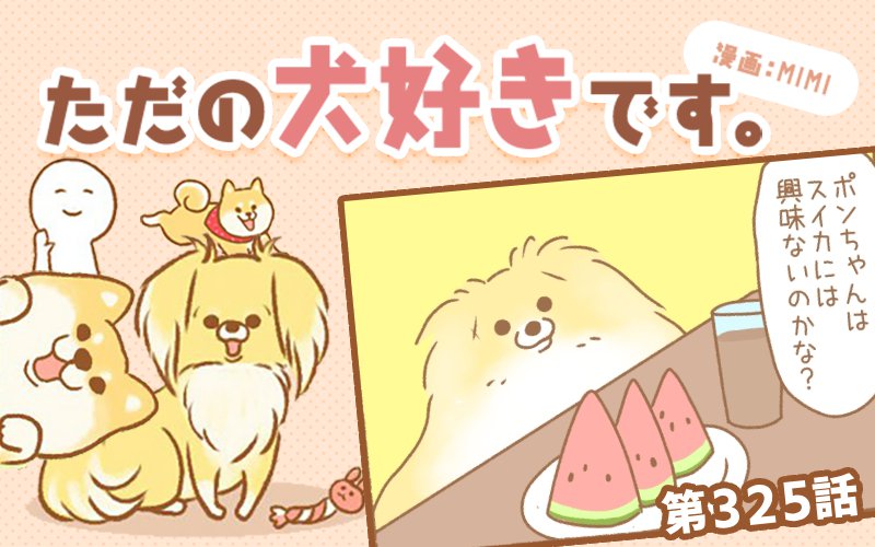 ただの犬好きです。【第325話】「狙っては…」