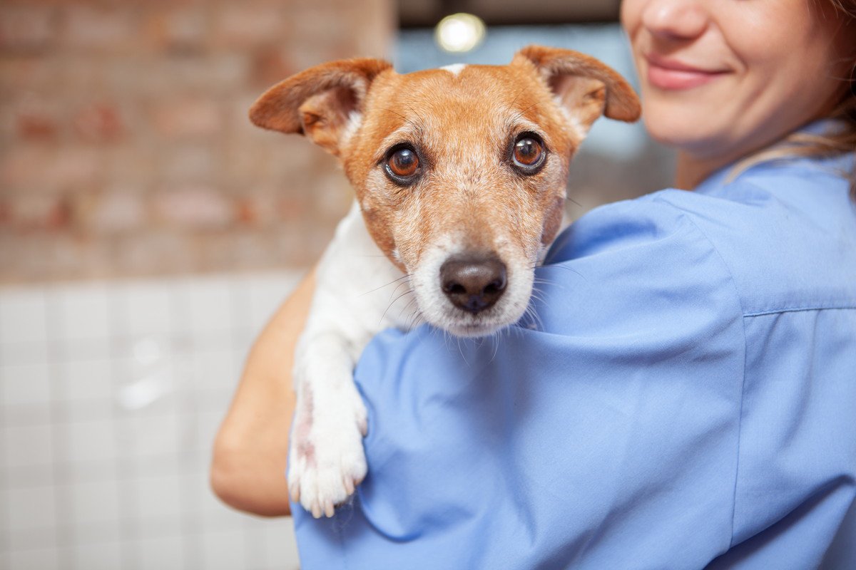 コレは避けて！動物病院に迷惑をかけてしまう『困った犬の飼い主』6パターン