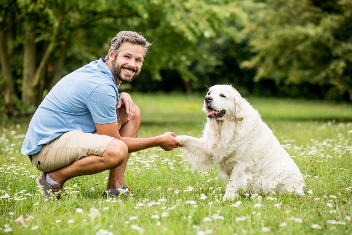 子犬じゃなくても『しつけ直し』はできる？意識すべきポイントやコツを解説