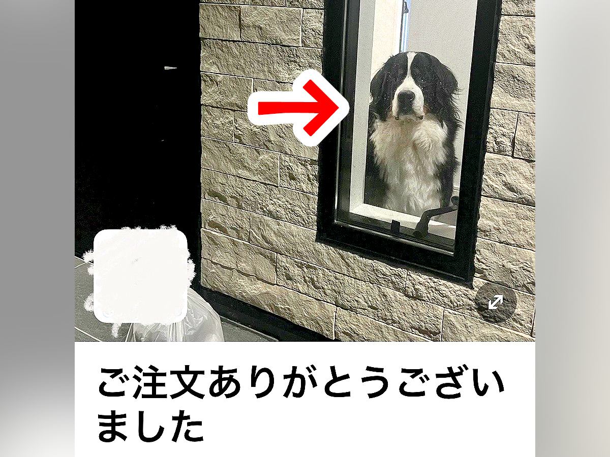 ウーバーイーツの『置き配完了通知』が届いたと思ったら…完全に想定外な『まさかの写真』に2万いいね「犬めちゃ見てて草」「センス良いｗ」