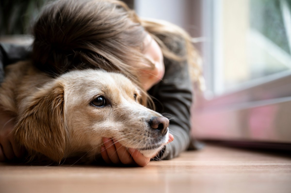 愛犬を苦しめる『愛情表現』5選　絶対やってはいけないタブー行為やストレスを与えない接し方まで
