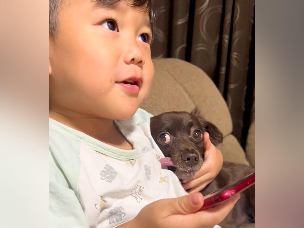 男の子が『ママに叱られてしまった犬』をかばった結果…手慣れ過ぎている『大人のような対応』が99万再生「守られてる感ｗ」「父親の貫禄で草」
