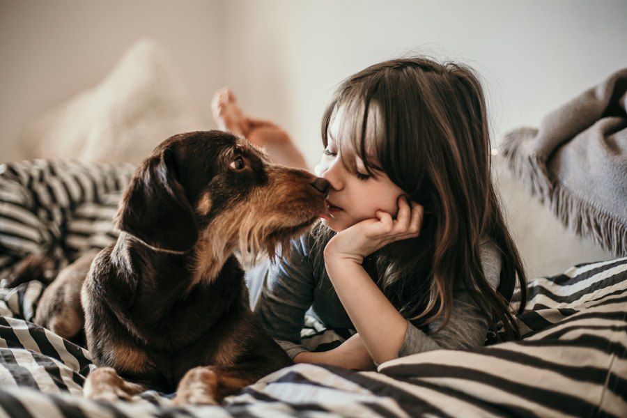 犬との口づけにはリスクが伴う？可能性がある４つの危険性