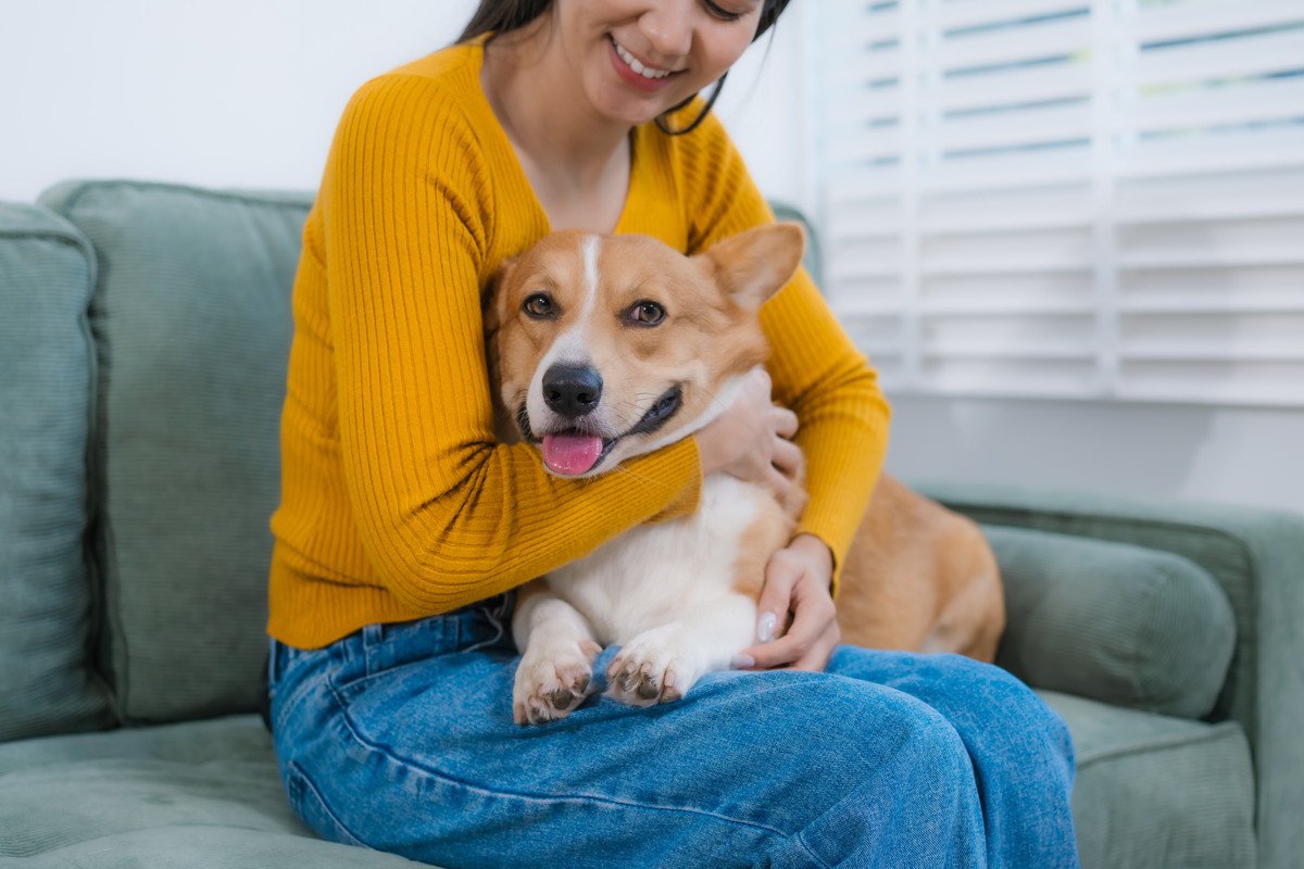犬が飼い主に『密着してくる』心理6選　くっついてくる理由や注意すべき状況まで