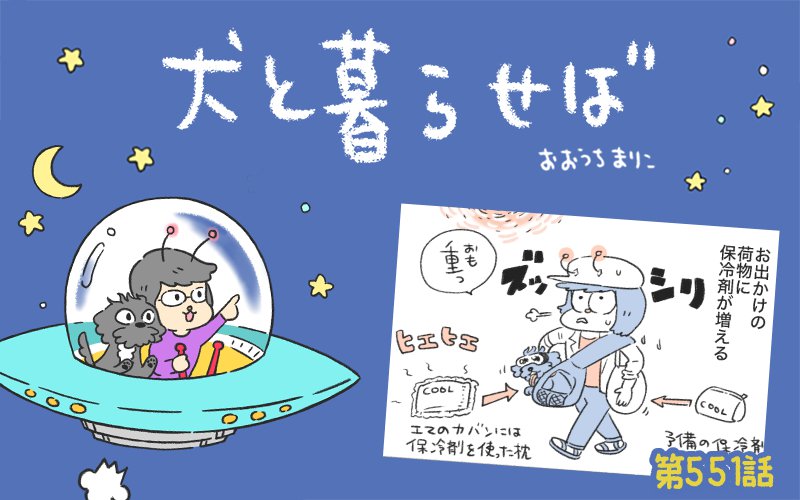 犬と暮らせば【第551話】「犬飼いの夏あるある」