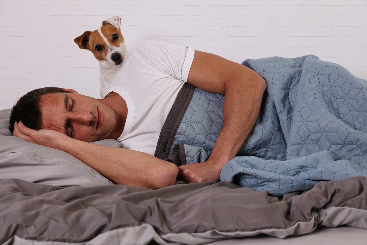 『犬は人間の糖尿病を見抜くことができる』って本当？どのように感知するの？犬が持つ驚きの能力とは