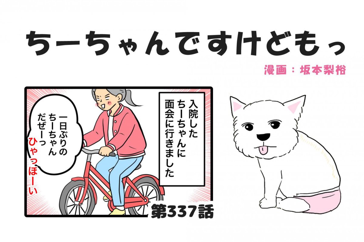 ちーちゃんですけどもっ【第337話】「ちーちゃんと面会」