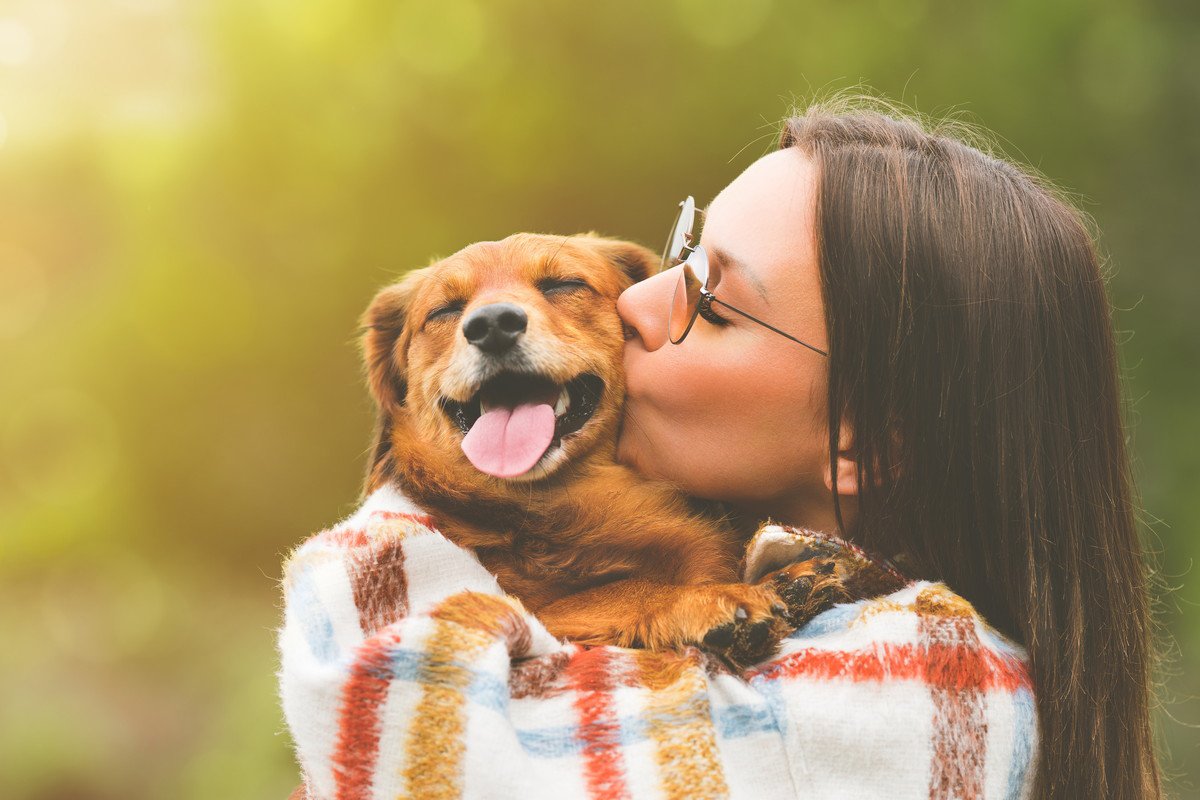 犬が『抱っこされている時』の心理4つ！性格や年齢による感じ方の違いと様子から読み取れるサイン