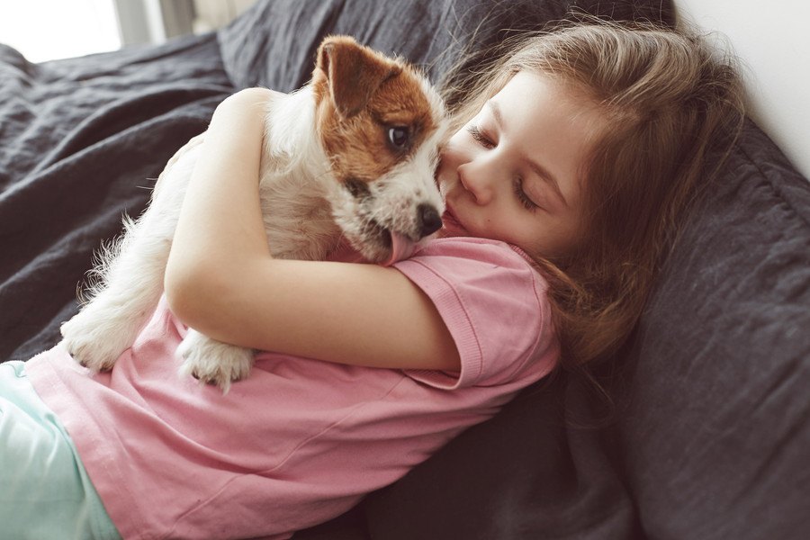 犬は飼い主と同じ部屋にいることを好んでいる？