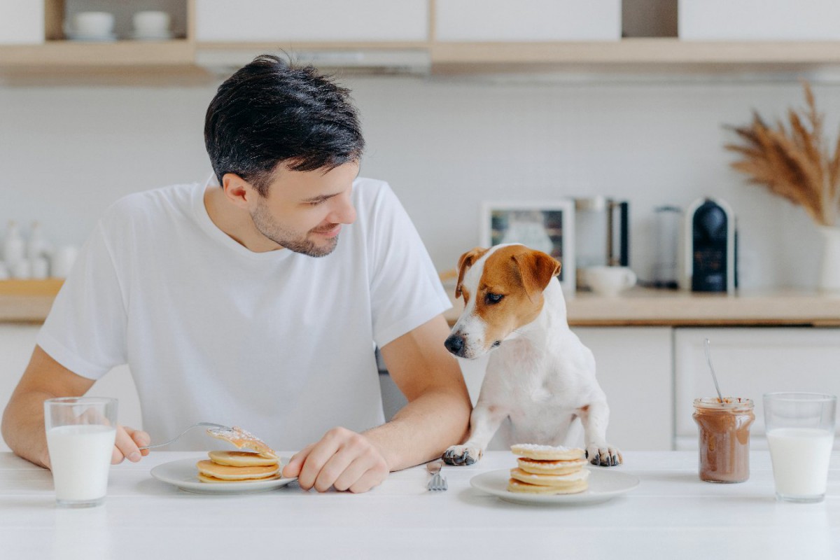 犬を人間扱いしてはいけない『5つの理由』 絶対NG行為や理想的な考え方とは？