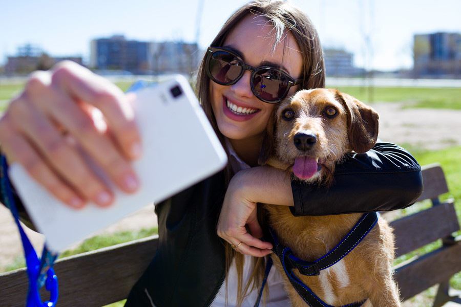 愛犬と一緒に思い出の写真が撮れるおすすめのフォトスポット４選