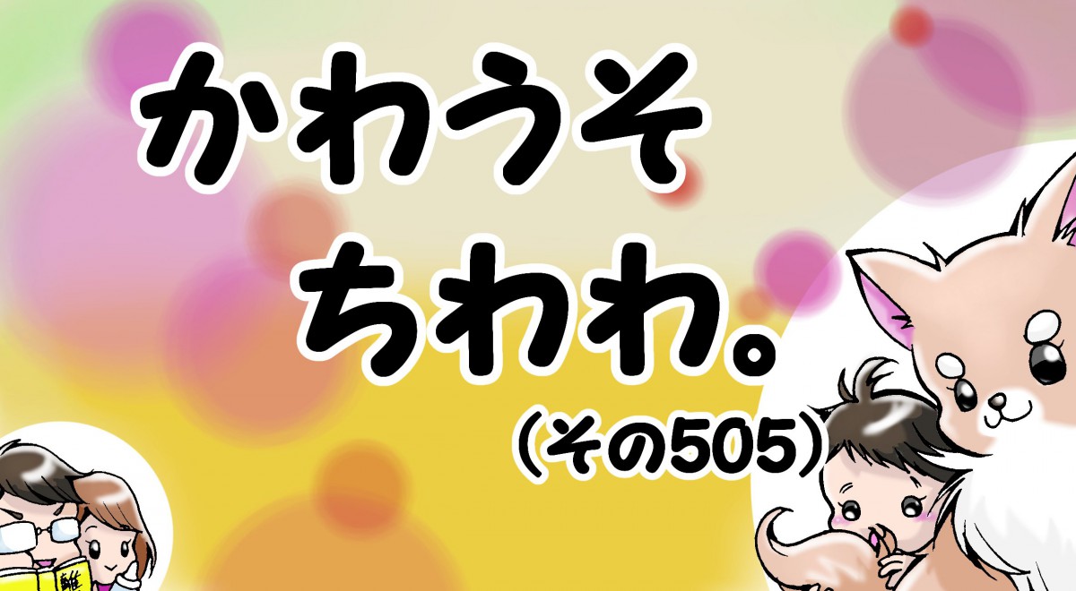 かわうそちわわ。【その505】「思い出の赤いお水入れ」