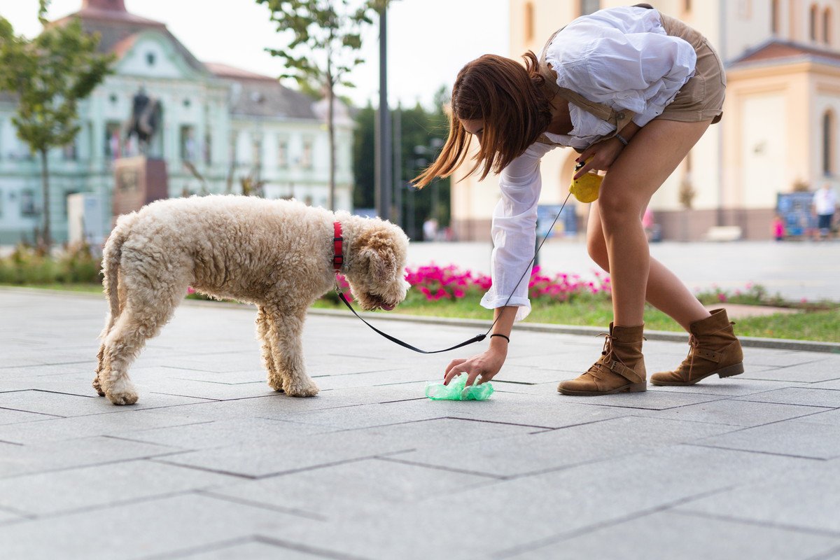 犬が散歩中にウンチをしたときに絶対してはいけないNG行為とは？
