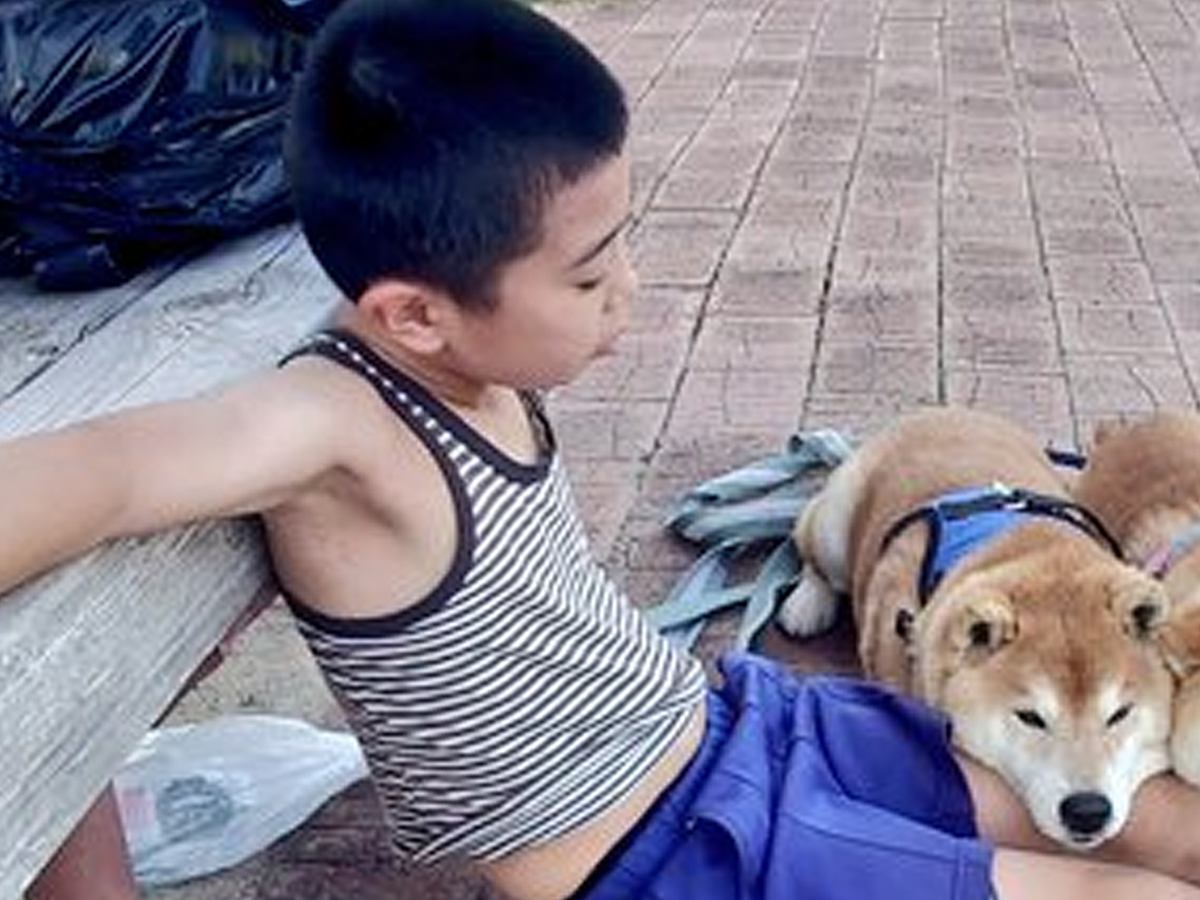 朝のトレーニングを終えた男の子→2匹の犬が近づいてきて…まさかの『微笑ましい休憩時間』に2万いいね「動けなくなるやつｗ」「最高」と称賛