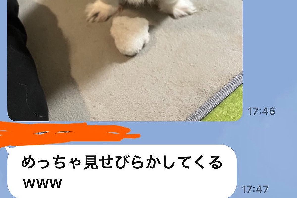 犬を預けた友人からLINE→『めっちゃ見せびらかしてくるｗｗ』と写真がきていて…あまりにも可愛い『自慢の表情』に反響「お友だちも素敵」