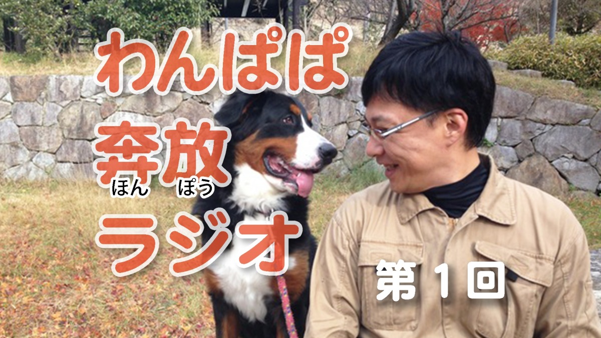 犬のおべんきょう♪わんぱぱ奔放ラジオ♪ 第1回♪