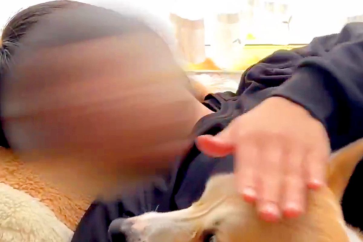 『お姉ちゃん、撫でて』とお願いする犬→試しに『エアーなでなで』をした結果…予想外の展開で見せた『困惑顔』に2万いいね「フリーズしてるｗ」