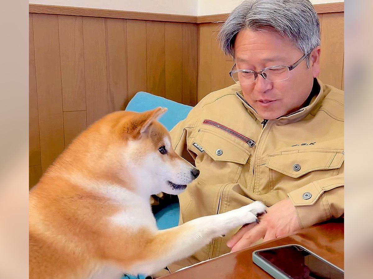 犬とお父さんを撮影したら…まさかの『会話が成り立っている光景』がコントのようだと45万再生「もしや人間ですか？」「犬語かわいい」