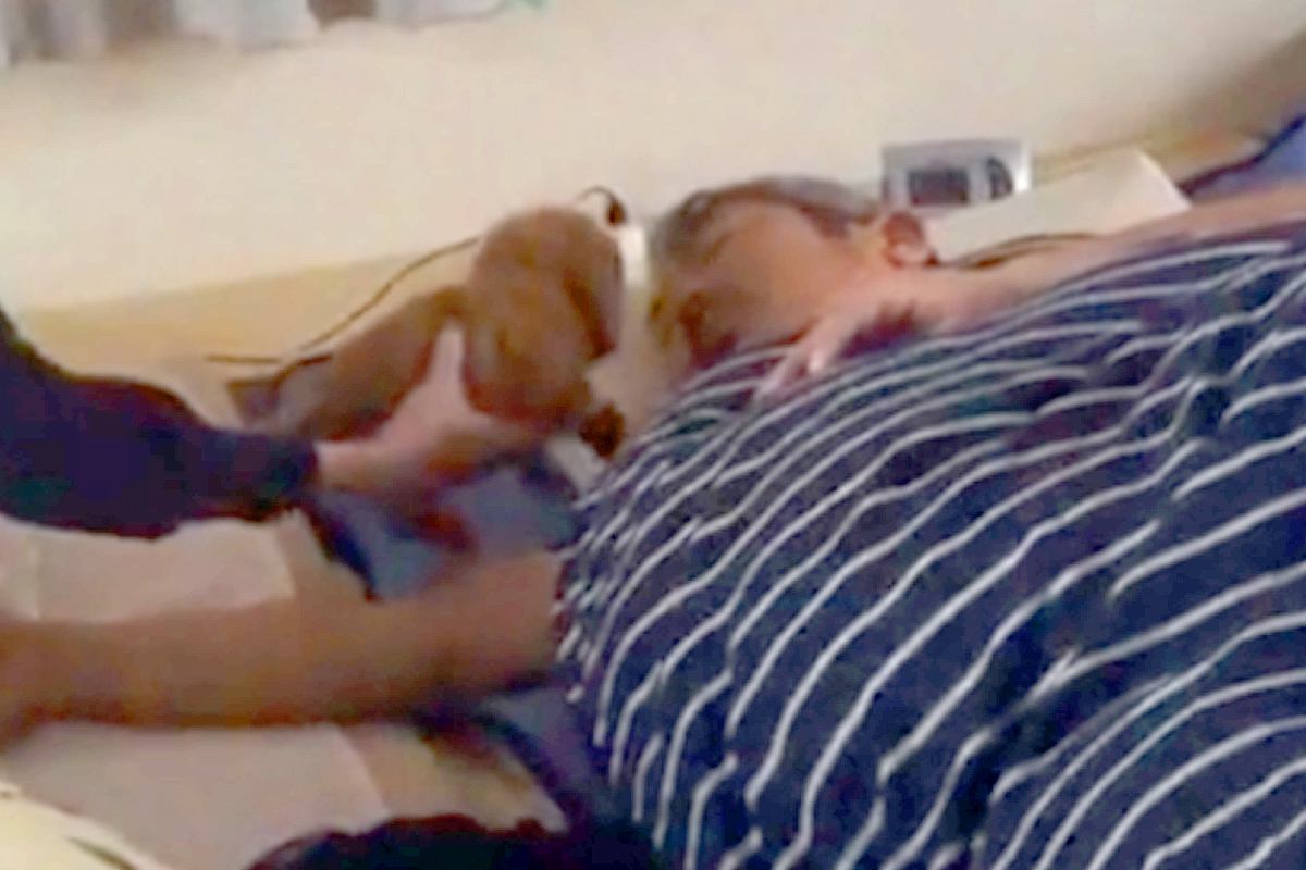眠る父の横に、サプライズで『会ったことのない子犬』を置いた結果→驚くと思ったら…まさかの光景が71万再生「ソフトタッチで草」「適応力ｗ」