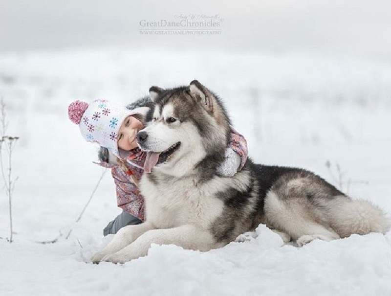 ロシアの写真家が撮り続ける”大きな犬と子供たちの仲睦まじい姿”の写真が素敵！