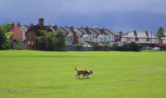 イギリスで危険といわれる犬たち　～動物愛護国イギリスわんこ事情～