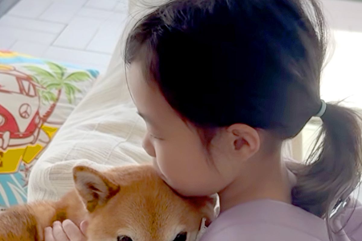 朝、保育園に行く6歳の女の子→犬と離れたくなくて、抱きつきながら『いってきます』と伝えた結果…『相思相愛な光景』に11万再生の反響