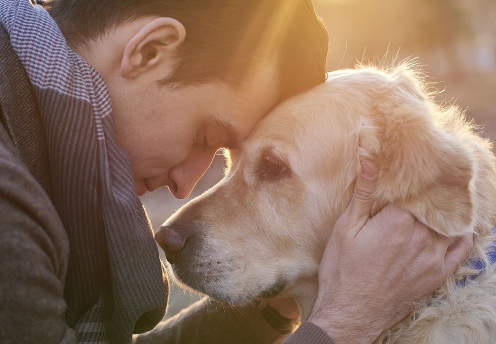 もっと話がしたい。犬が本当に伝えたがっている事とは？