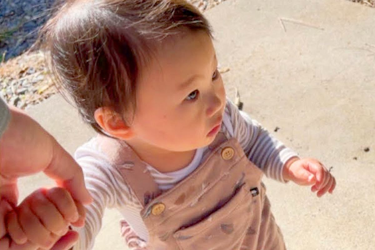 1歳の女の子が『初めて歩いて家に帰った』結果→窓を見ると『2匹の大型犬』が…『尊すぎる光景』と帰宅後の反応が29万再生「️感動」「涙出る」